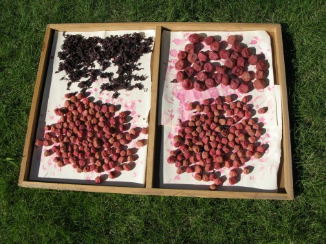 ブラスモデルの半田付け Apuro