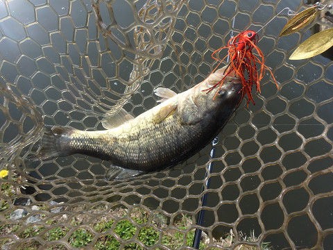 シマノ エクスプライド 163ml G インプレ C調パラダイス