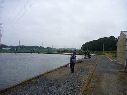 livedoor
