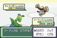 ミラージュバトルシステムに挑もう ポケモン好きで変な奴の日記みたいなもの ミラージュバトルシステムに挑もう ポケモン好きで変な奴の日記みたいなもの