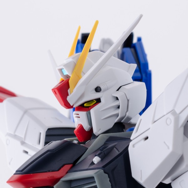 バンダイ Mg 1 100 フリーダムガンダム Ver 2 0 パチ組レビュー きんけつほびーらいふ
