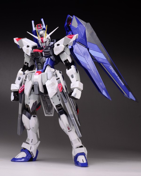 TAMASHII NATION 2012 開催記念商品 METALBUILD フリーダム