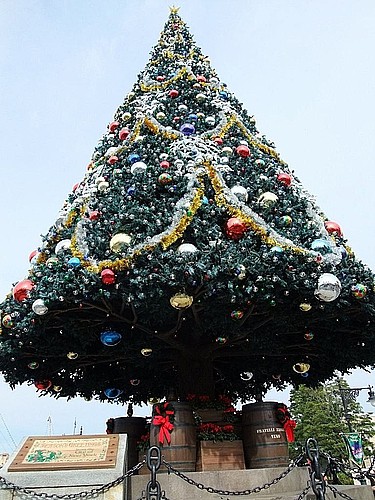 TDRその9】東京ディズニーシー「ハーバーサイド・クリスマス
