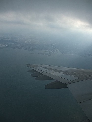 松山空港から東京ディズニーリゾート目指して テイクオフ エヒメン 愛媛県男子の諸々