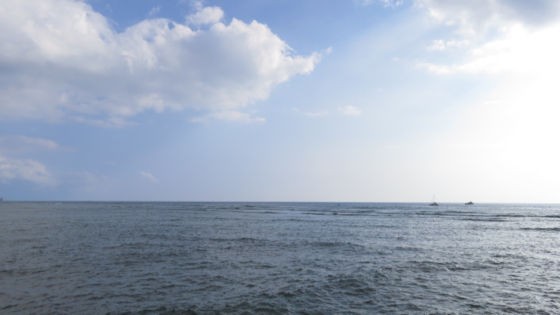 ハワイ サーフポイント サーフスポット サーフブレイク ワイキキの小さい宿 アロハコンドのワイキキビーチ生情報