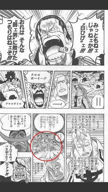 朗報 不死鳥のマルコさん ワンピース史上最もカッコいいセリフを吐いてしまうｗｗｗｗｗｗｗ 厳選オタク速報
