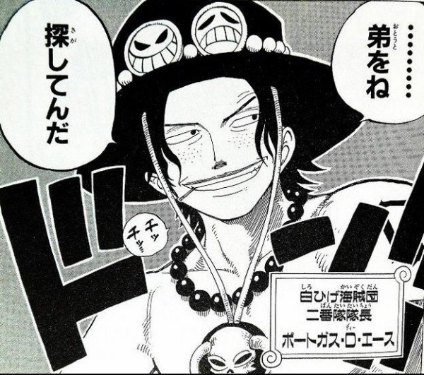 ワンピース エースって漫画界屈指の優秀な血筋なのに無能だよなｗｗｗｗ 厳選オタク速報
