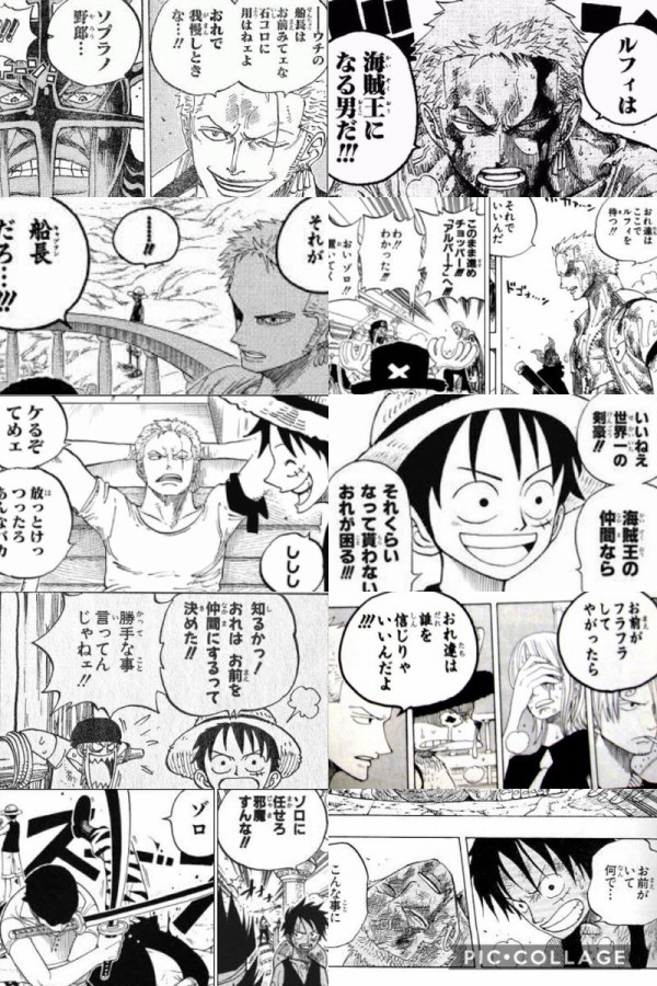 朗報 ルフィがゾロのことをクッソ信頼してるシーン ガチで好きすぎるｗｗｗｗw W W 厳選オタク速報