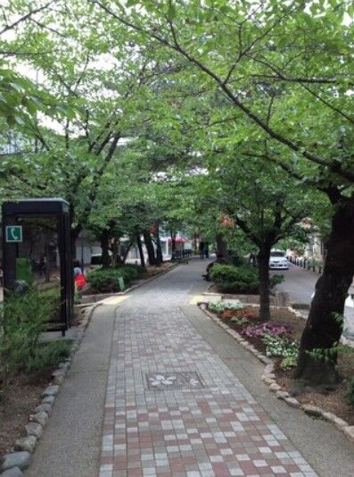 宝塚 花組 新トップコンビお披露目は 哀しみのコルドバ Cool Beast で全国ツアー 花の道でホットにまったりと