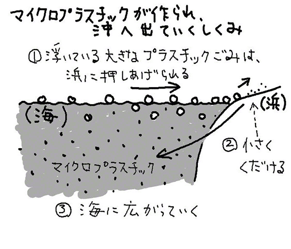 プラスチックスープの海 院家日記