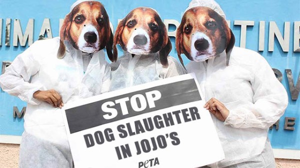 世界的動物愛護団体 ジョジョは動物虐待アニメだ 海外の反応 海外反応 I Love Japan