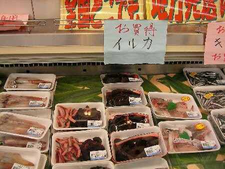 日本人ってイルカも食うのか 海外の反応 海外反応 I Love Japan